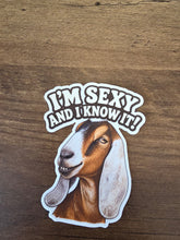 Load image into Gallery viewer, Stickers