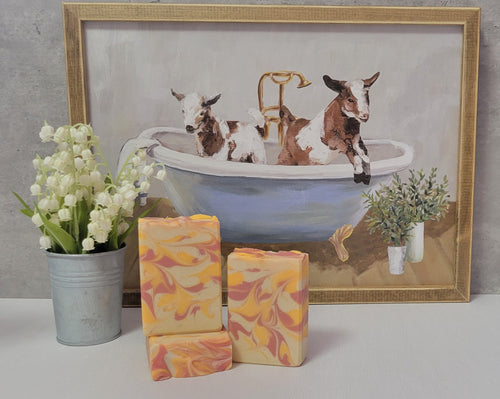 White Peach & Hibiscus