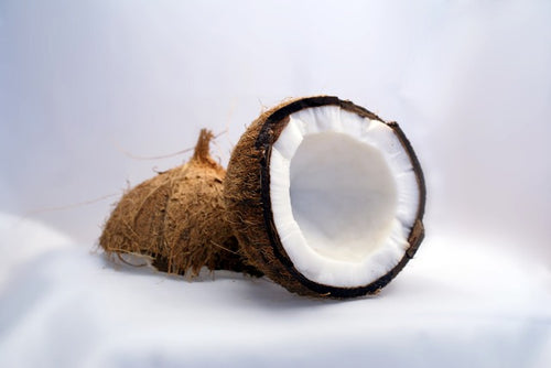 Creamy Coconut Goat Milk Lotion